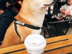 -星巴克(成都科学城店)