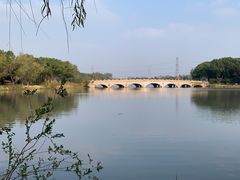 -昆山城市生态森林公园