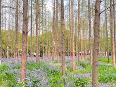 -上海交通大学(闵行校区)