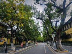 -颐和路民国时期公馆风貌区