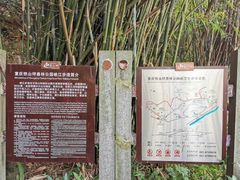 -铁山坪森林公园