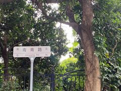 -青青世界