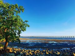 -宝安西湾红树林湿地公园