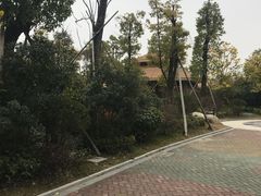 -宁波杭州湾海底温泉