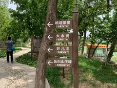 -阳台山自然风景区