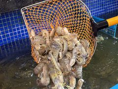-明记海鲜大排档(巽寮湾店)