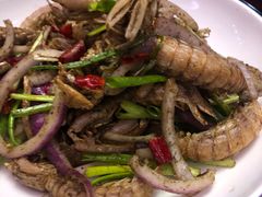 -虾弄弄海派小龙虾·牛羊蝎子火锅