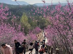 -天台山赤城山景区