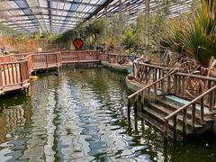 -呀路古热带植物园