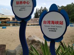 -广东惠东海龟国家级自然保护区