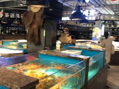 水产区-拉完海鲜大排档(温岭店)