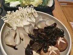 -杨家火锅(国美店)