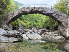 -石台牯牛降景区