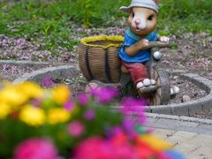 -国家植物园南园