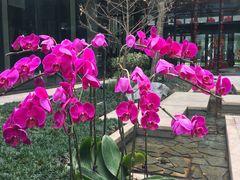 -福州仓山凯悦酒店·Market Cafe Lacucina咖啡厅