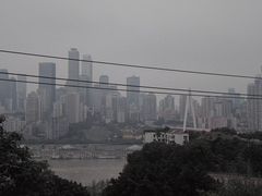 -悟饮门市景店