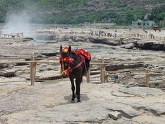 -陕西黄河壶口瀑布旅游区