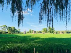 -长兴太湖图影湿地文化园