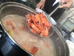 -蚝专家
