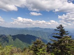 -牛背梁国家森林公园