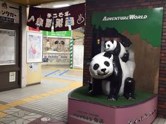 -南紀白浜 浜千鳥の湯 海舟