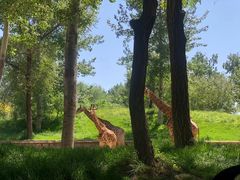 -北京野生动物园