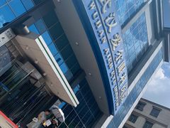 -武汉大学附属爱尔眼科医院(湖北总院)