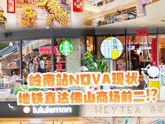 -岭南站NOVA