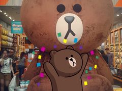 -line friends(明洞旗舰店)