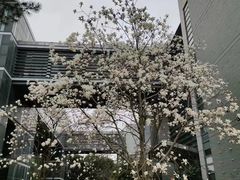 -同济大学(嘉定校区)