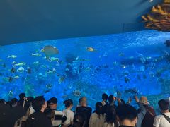 -横店影视城梦幻谷园区