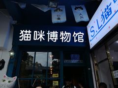 -猫咪博物馆(顶澳仔猫街店)