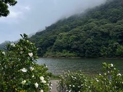 -广州市石门国家森林公园