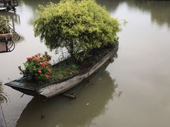 -大湾区中央湿地公园