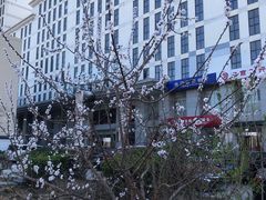 -聚德华天护国寺小吃(甜水园店)