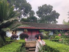 -峨眉山报国寺