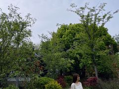 -雨花胜境