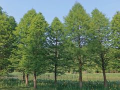 -贵阳市花溪国家城市湿地公园