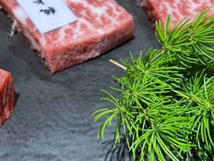 -樱宿日式和牛烧肉(五道口店)