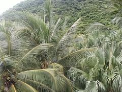 -日落吧·海景咖啡厅·餐酒吧·鸡尾酒·下午茶·乐队表演·浪漫夕阳·三亚文华东方酒店