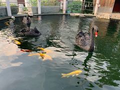 -湖鲜楼