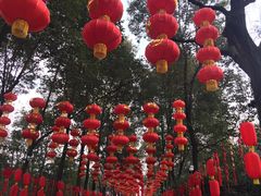 -成都大熊猫繁育研究基地