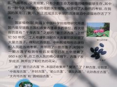 -国家植物园南园