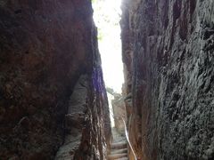-天女山森林公园