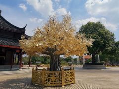 -广东圆玄道观