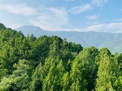 -香山公园