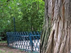 -紫竹院公园-东门停车场