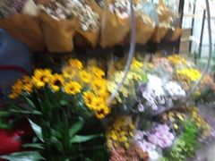 -金旭菜市场