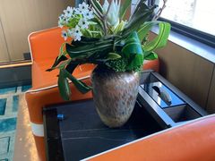 -新美姿美食水疗汇(罗湖口岸店)