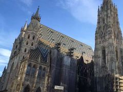 -斯蒂芬主教座堂(Stephansdom)